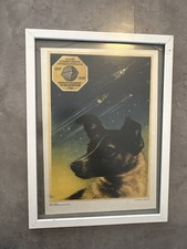 СССР Laika Raumfahrt