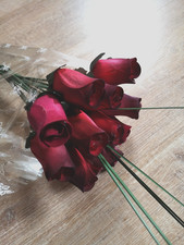 14 ROSEN ROSENSTRAUß