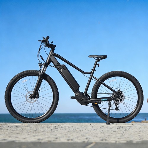 Bike pedelec zoll 48v - pedelec,
