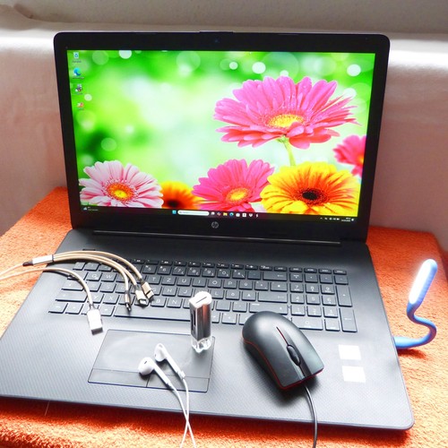 Black zoll l amd - black,