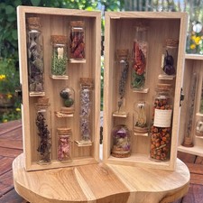 Botanisches Herbarium im Glas