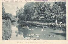 392929) AK Partie am Goldfischteich Stolp Pommen gelaufen 1918