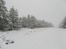 Foto 6x4 Fahrt Dunter Law