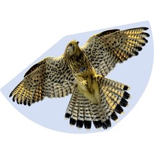 Günther Flugspiele Einleiner