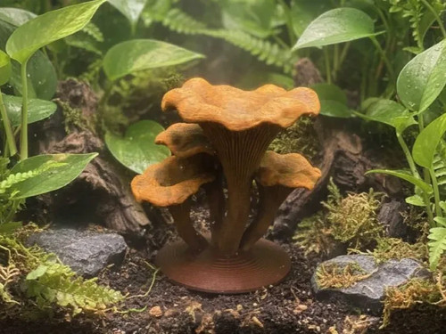 Waldpilz deko gelände - deko,