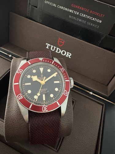 Tudor black bay schwarzes - bay,