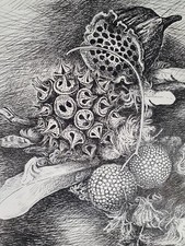 Alte Tintenzeichnung