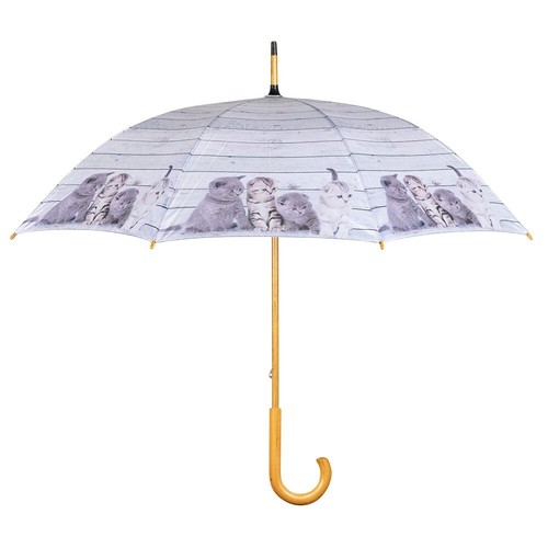Regenschirm mars more katzen - &,