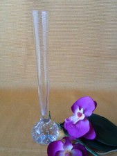 60´ Orchideen Solifleur Glas