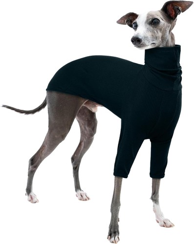 Whippet-Mantel