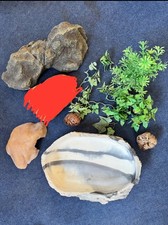 Terrarium Deko Zubehör Exo Terra Wasserbad Höhle Stein Pflanze