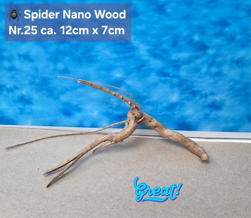 Nano spiderwood - 🪸, 🕸