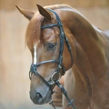 % Kavalkade Trense Pedro