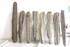 Schwemmholz Treibholz 8