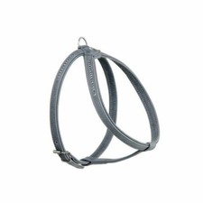 Karlie Buffalo Denim Strass