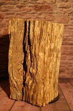 Eichenbalken 300 Jahr alt