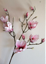 Magnolie zweig 96cm - magnolie,