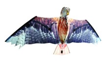 Kinderdrache groß Flug-Drache