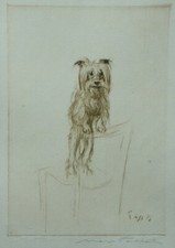 Max Pollak (Prag 1886-1970 California) Hundeporträt am Lehnstuhl