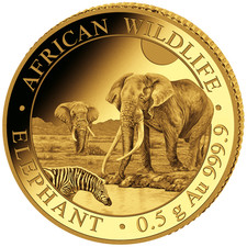 Goldmünze elefant african - goldmünze,