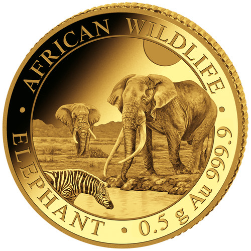 Goldmünze elefant african - goldmünze,