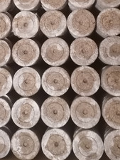 50 Stk. Jiffy-7 44 mm