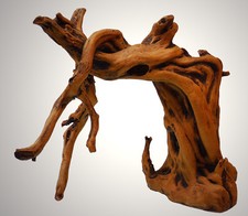 Aquarium Deko 🐠 24 cm