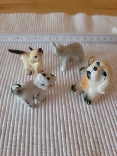 Hund katzen elefant - hund,, katzen,