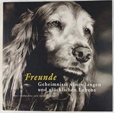 Freunde. Geheimnisse eines