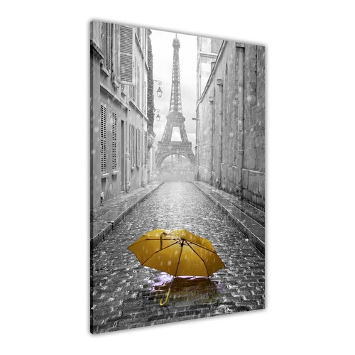 Paris regenschirm leinwand - paris,