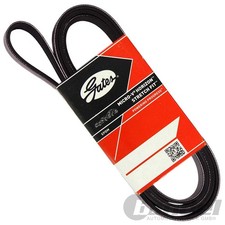 GATES KEILRIPPENRIEMEN 6PK1803