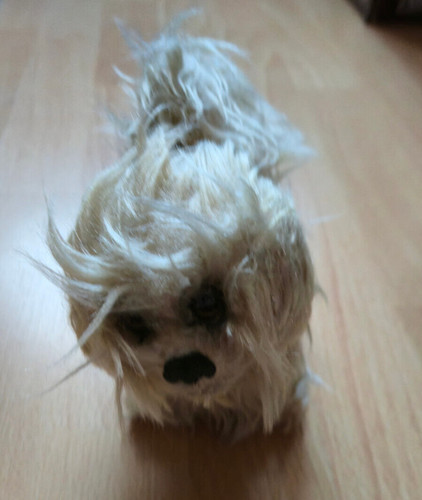 Vintage steiff hund 1972 - hund,