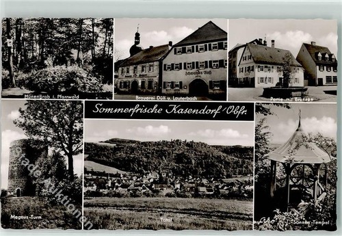 39239403 8658 kasendorf - 39239403,