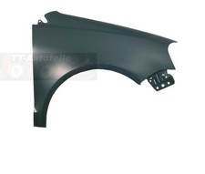 Diederichs Kotflügel rechts