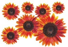 Blumen aufkleber flower power - blumen,