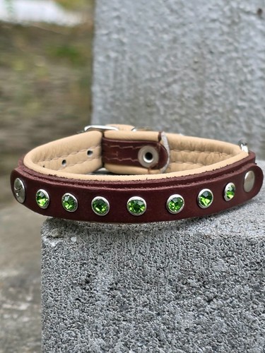 Hundehalsband 25cm leder - hundehalsband,