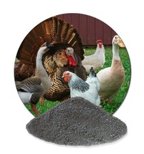 25 kg Staubbad für Geflügel