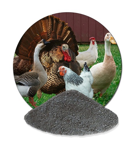 Staubbad für geflügel - kg,