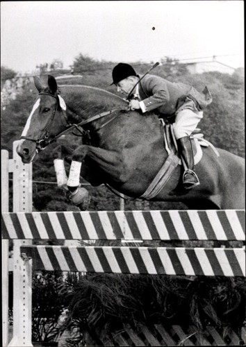 Foto springreiten sprung - ak, springreiten,