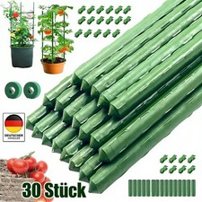 30 Stück Pflanzstab