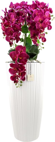 Künstliche orchideen mit - orchideen, deko