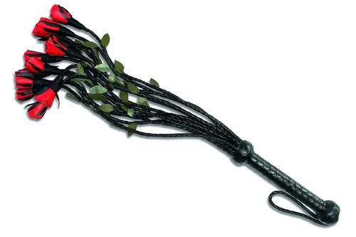 Peitsche zügig leder - peitsche,
