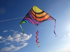 Drachen Einleiner Delta Rainbow Circles 210cm