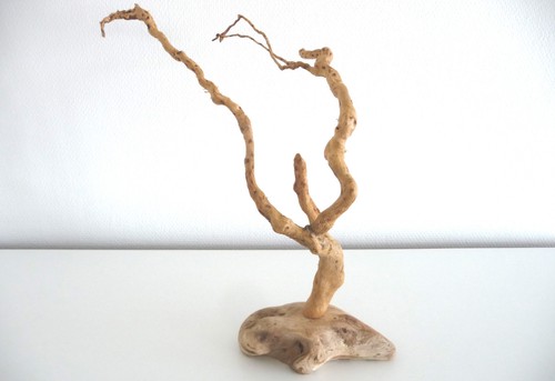 Massivholz wurzel skulptur mit - skulptur,