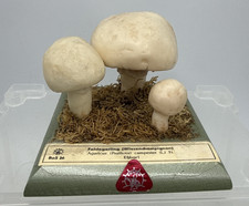 27123/ Vintage Somso