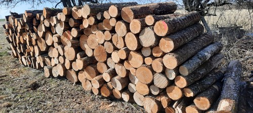 Brennholz hartholz laubholz - brennholz,
