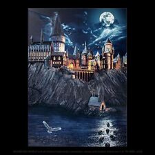 Displate Limited Edition Harry Potter Back to Hogwarts