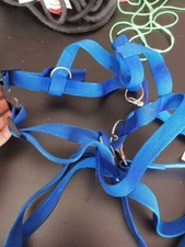 Pferdeleine Kinder | Verstellbares Pferdegeschirr für Kinder | Kinderspielzeug