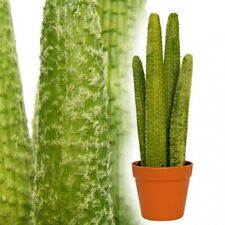 künstlicher Kaktus 50 cm