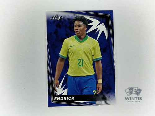 Endrick 2024 leaf blue 3 - leaf,